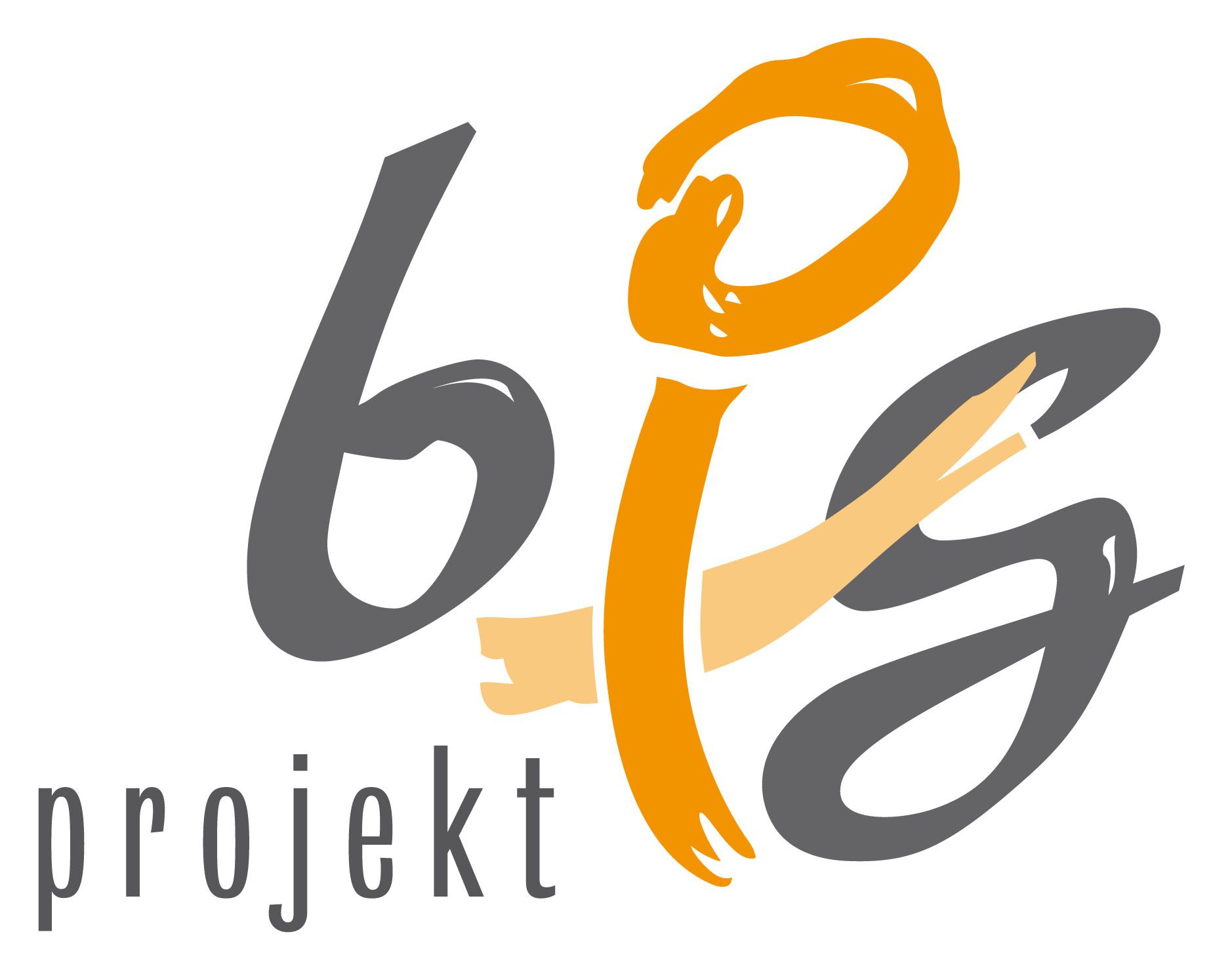 Logo Big-Projekt