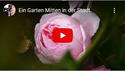 Dieser Link führt zur YouTube-Seite des Videos "Ein Garten mitten in der Stadt"
